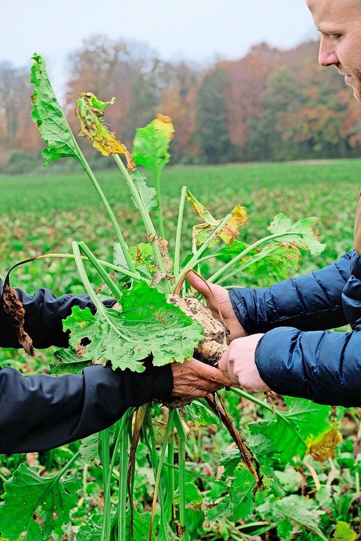 Die nächste Generation übernimmt: Der Druck auf die jungen Produzent(innen) ist gross. Leider herrsche heute «Masse vor Klasse».
