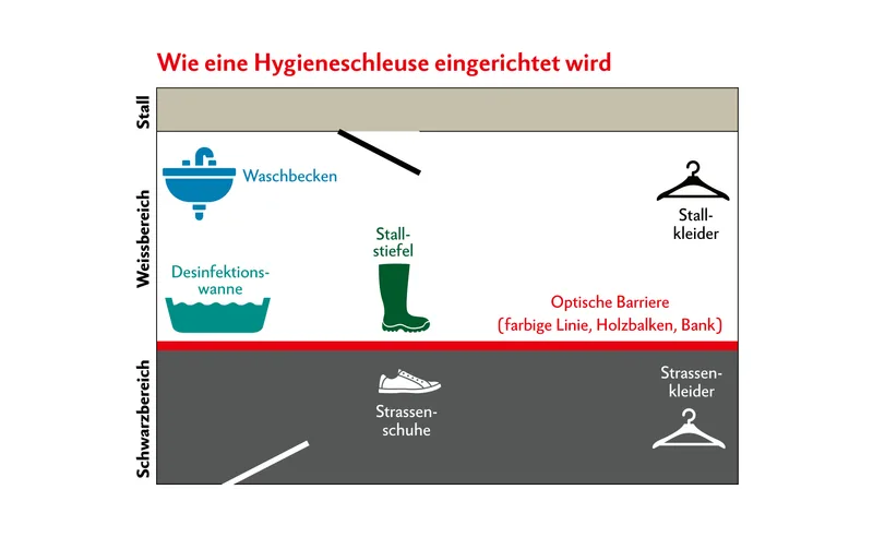 Hygieneschleuse Schweinestall
