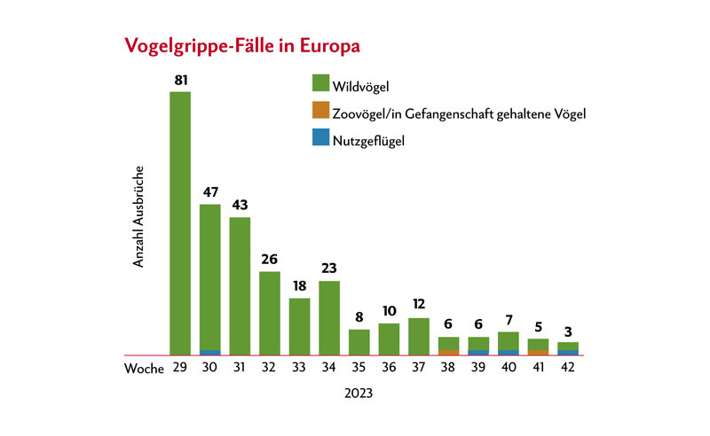 Die Seuchenlage in Europa