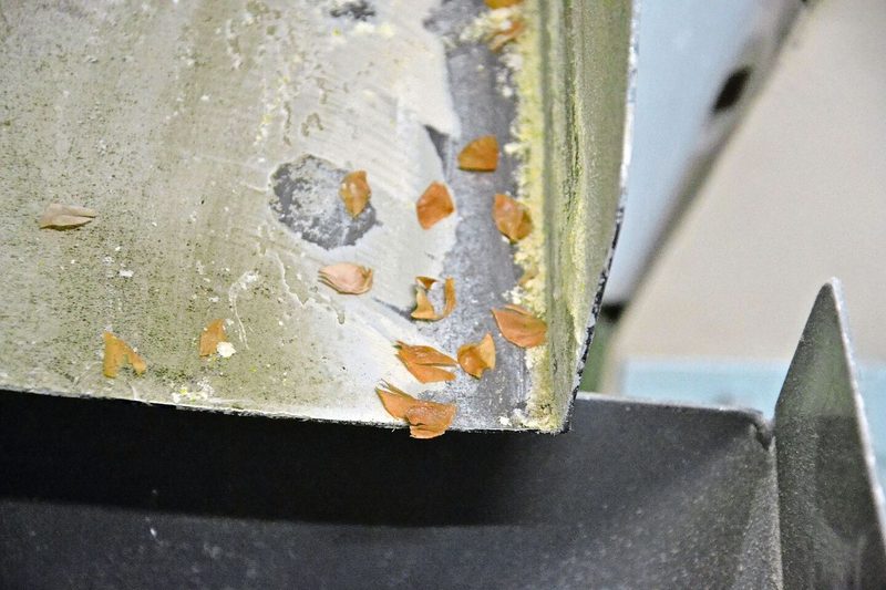 Hier wurde Speisemais gereinigt, übrig bleiben die feinen Häutchen. Beim Reinigen und Sortieren macht man sich die Physik zu nutzen.