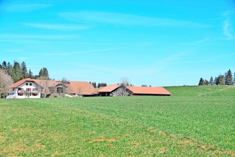 Der schöne Jura-Betrieb liegt eingebettet in einer Waldlichtung. Milchwirtschaft und Viehzucht sind die Hauptbetriebszweige.