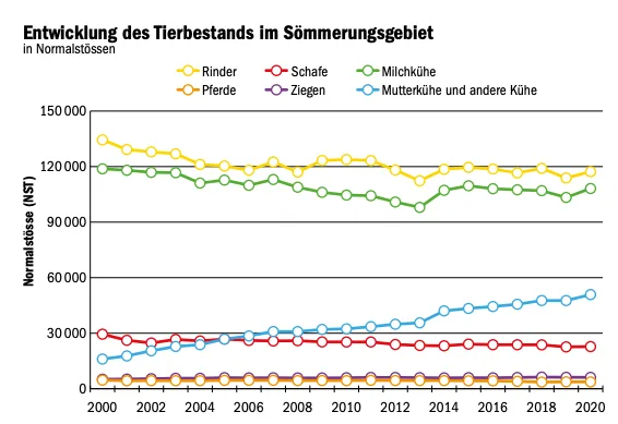 Wenn alle Stricke reissen, bleibt nur noch die Tradition