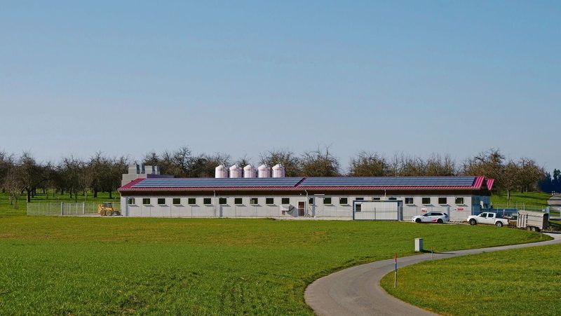 Aussenansicht des neuen Stalls: Man sieht die Photovoltaikanlage auf dem Dach. Rund um den Stall ist ein Zaun errichtet.