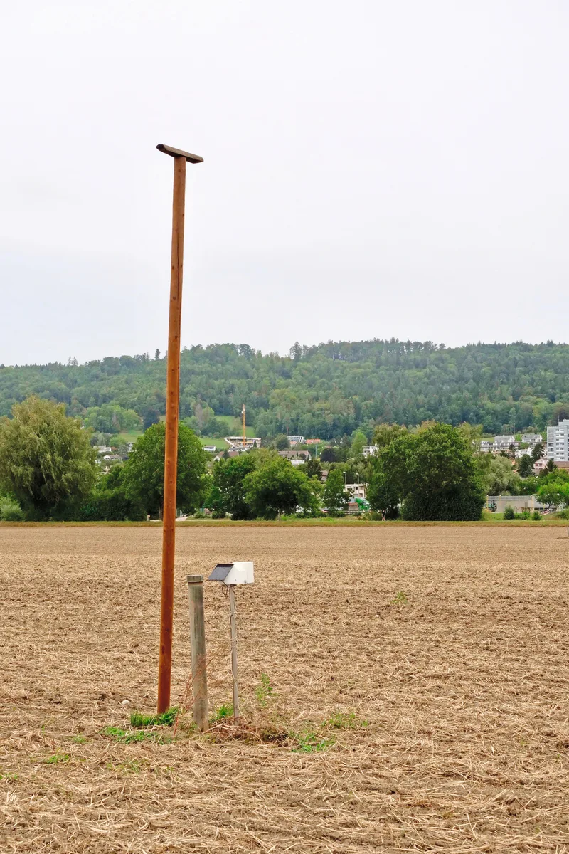 Kein zusätzliches Hindernis: Die Wetterstation auf der 15 ha-Parzelle steht direkt neben der Grundwasser-Messstelle und der Sitzstange der Greifvögel. Bild: Martina Rüegger