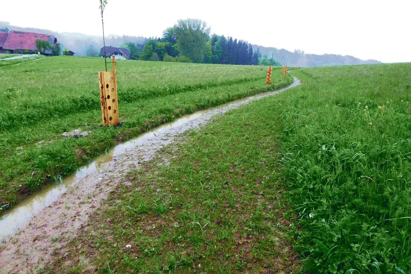 Den Verlauf der Wasserkanäle hat Markus Schwegler mit GPS-Daten abgesteckt und anschliessend eine Kante ausgebaggert. Darin soll das Wasser primär versickern oder bei zu grossen Mengen in den Speicher fliessen.