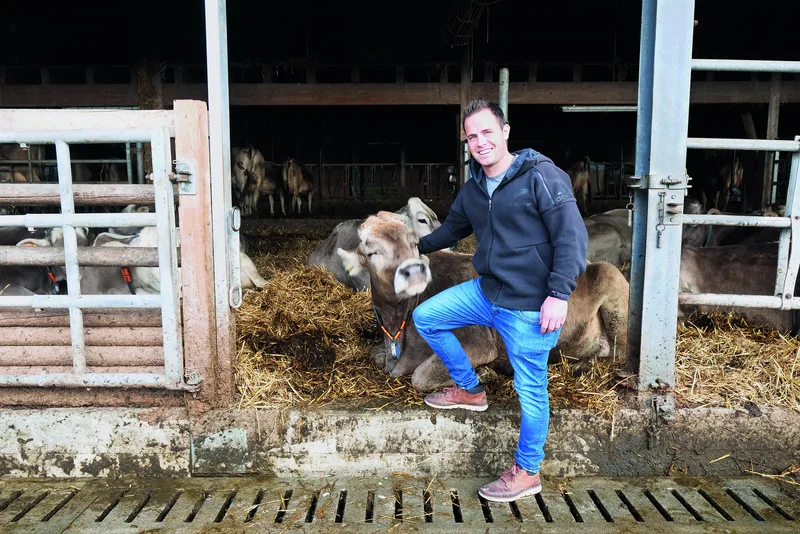 Andrin Ledergerber steht im Laufstall und krault einer Kuh den Kopf.