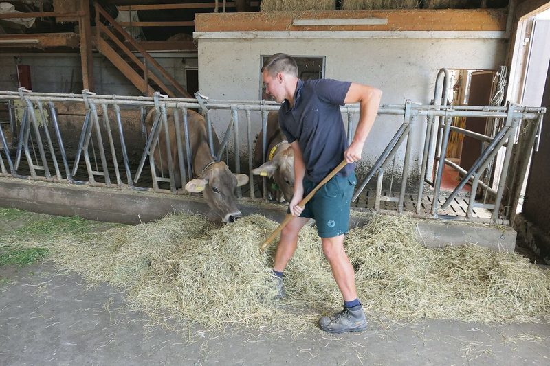 Eine stressfreie Stallatmosphäre ist Oliver Vogt wichtig.