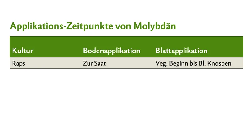 Applikations-Zeitpunkt von Molybdän bei Raps.