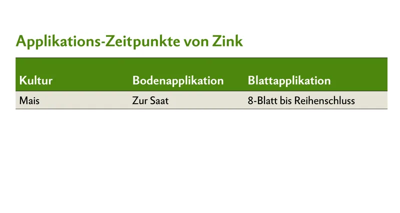 Applikations-Zeitpunkt von Zink bei Mais.
