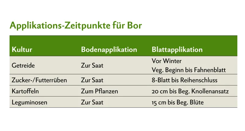 Applikations-Zeitpunkte für Bor bei Getreide, Zucker-/Futterrüben, Kartoffeln und Leguminosen