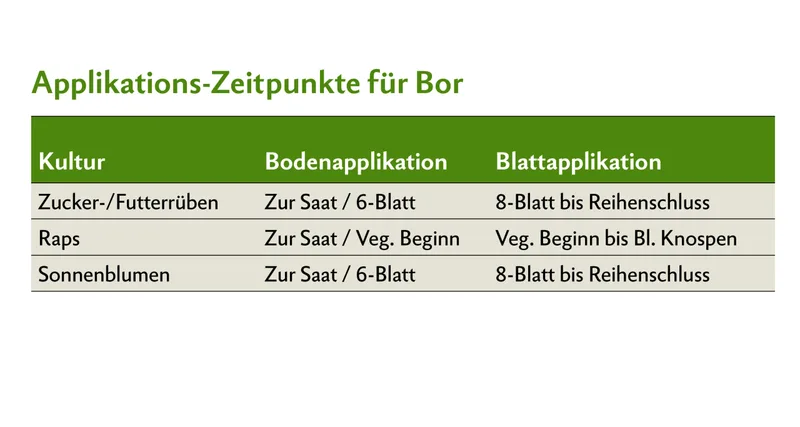 Applikations-Zeitpunkte für Bor bei Zucker-/Futterrüben, Raps und Sonnenblumen.