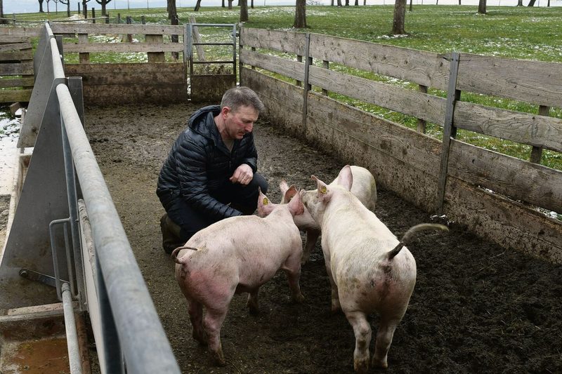 Sepp Sennhauser ist es wichtig, dass Tiere Auslauf haben. Deshalb baute er bei der Betriebsübernahme den Stall nach den Massen von KAGfreiland um, lange bevor er auf Bio umstellte.