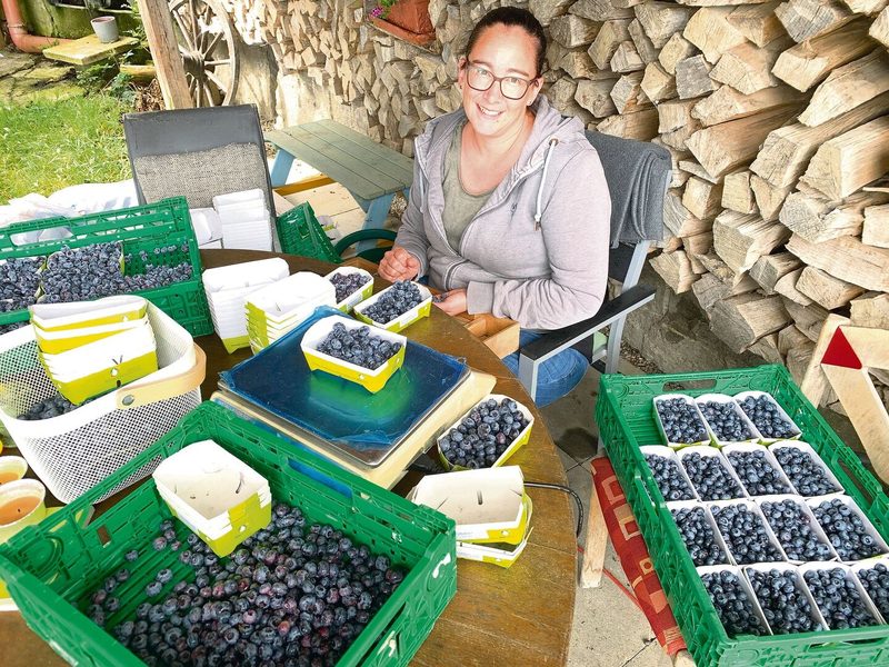 Angi Huber beim Erlesen der Heubeeren und Abfüllen in die 250-Gramm-Gebinde.