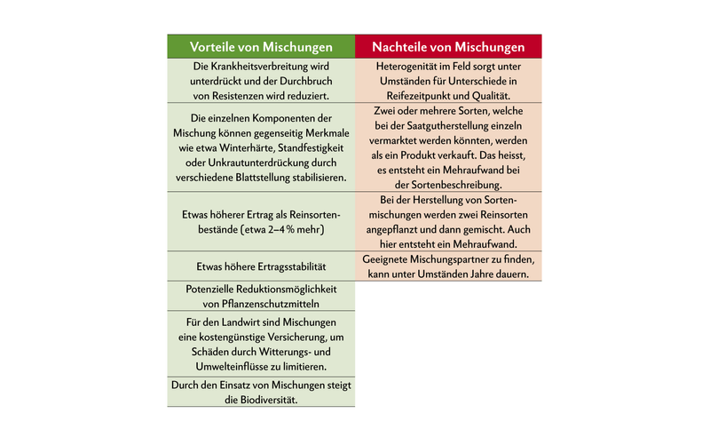 Der Anbau von Mischungen hat viele Vorteile. Ein Nachteil ist allerdings der Mehraufwand bei der Sortenbeschreibung.