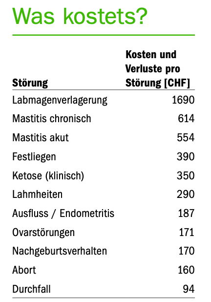 Bei der Galtzeit kann weniger mehr sein