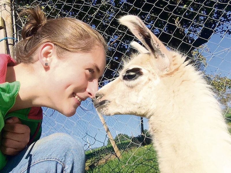 Ein Agriviva-Einsatz ermöglicht den Jungen nicht nur Kontakte zu Tieren, sondern auch zu Bauernfamilien und neue Einblicke in die Natur.