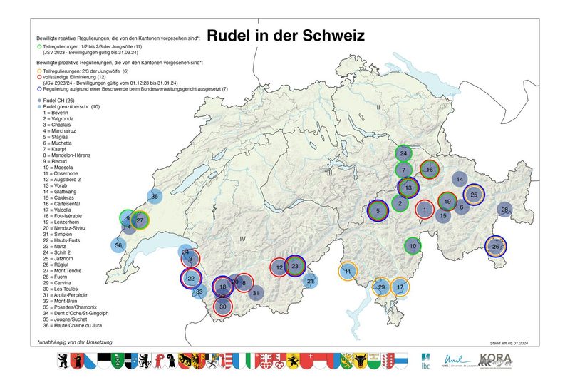 73 Bewilligungen, 49 Wolfs-Abschüsse: «Wo ein Wille ist, funktioniert es»