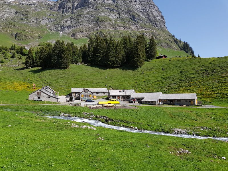 Zunehmend kurzfristige Absagen bei Alpstellen