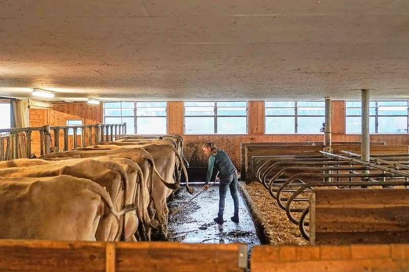 Die Ruhe bei der Stallarbeit ist für Olivia Noggler ein schöner Ausgleich. Oft hat sie den kleinen Luis dabei und erledigt dann vor allem leichtere Arbeiten.