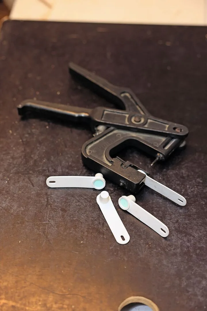 Eine Lockzange und Behälter für die Gewebeprobe liegen auf dem Tisch.