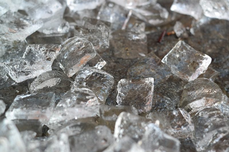 Jetzt fliegen die Wespen wieder: Der Schweizer Tierschutz gibt Tipps