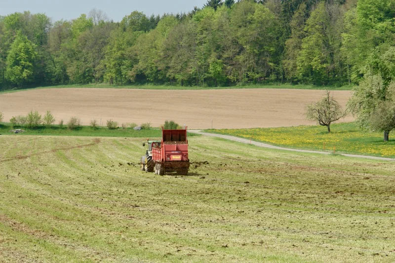 Hofdüngergaben im Herbst sollten besser auf Wiesen
als auf dem Acker ausgebracht werden. Foto: zVg