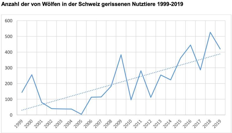 Herdenschutz funktioniert: Pro Wolf werden weniger Nutztiere gerissen als früher