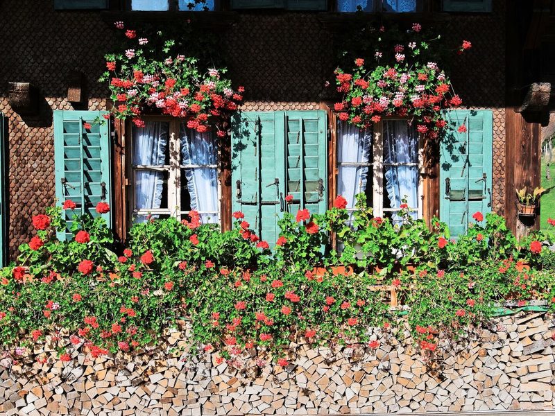 Traditionell: Bauernhaus mit Geranien-Schmuck.