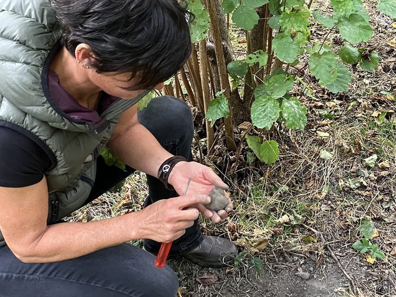 Mit den Hunden Indy und Tara auf Trüffelsuche