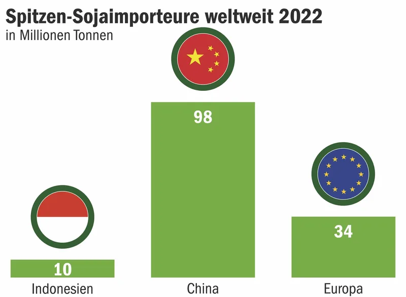 Fakten zur wichtigsten Hülsenfrucht der Welt