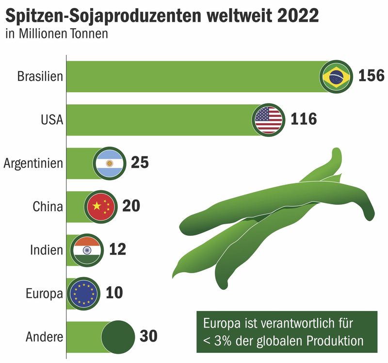 Fakten zur wichtigsten Hülsenfrucht der Welt