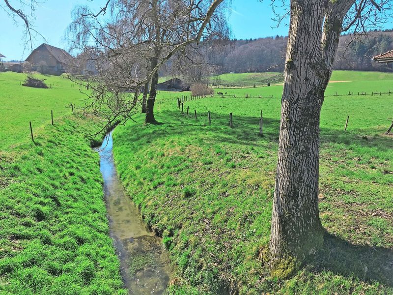Zulassungsbedingte Abschwemmungs-Auflagen sind bis zu 100 m entfernt von Oberflächengewässern auf über 2 Prozent geneigten Parzellen einzuhalten.