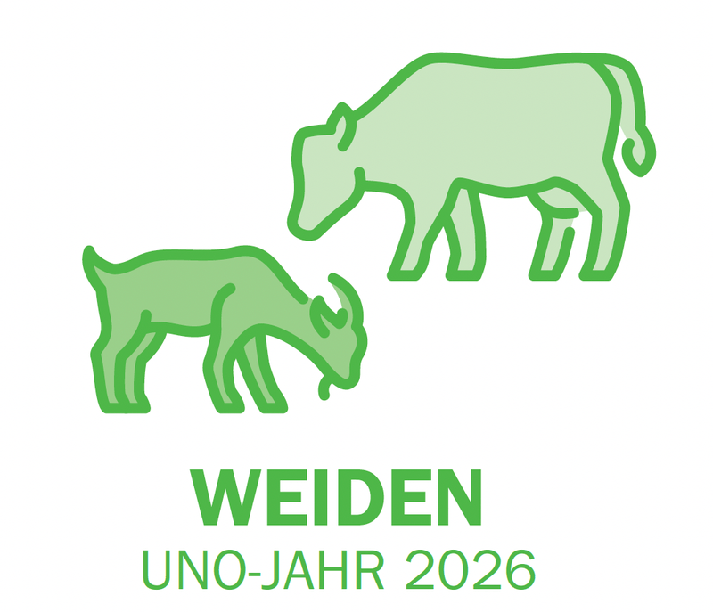 Die Kuh ist kein Klimakiller, sondern Biodiversitätsmacherin