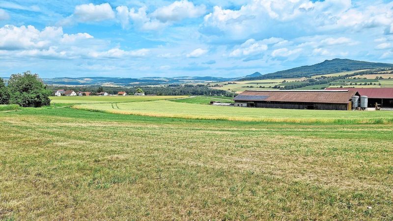Winzelers Betrieb liegt am Rand von Barzheim, nur wenige hundert Meter von der Deutschen Grenze entfernt.