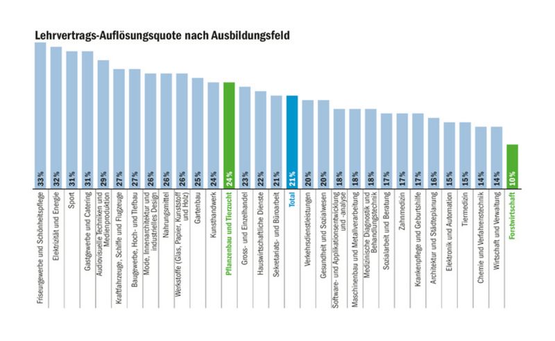 Die Chemie mit dem Lehrmeister muss stimmen: «Die Bereitschaft, abzubrechen, ist grösser geworden»