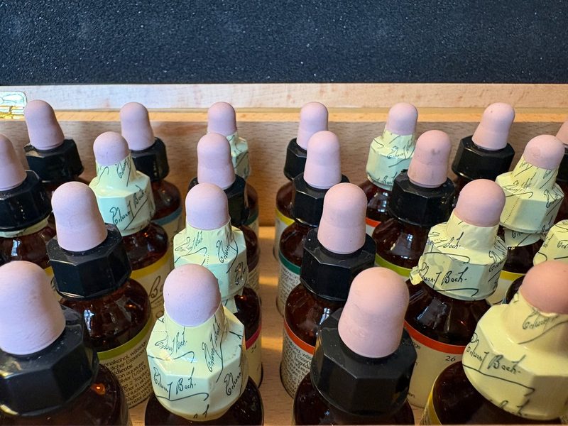 Hypnosetherapeutin und Bäuerin: Wie Daniela Bissegger zwischen Viehhandel und Praxis Menschen begleitet