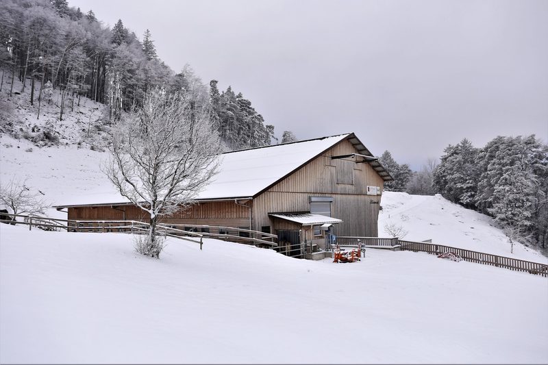 Das Weihnachtsgeschenk der Familie Briker befindet sich noch im Baugerüst
