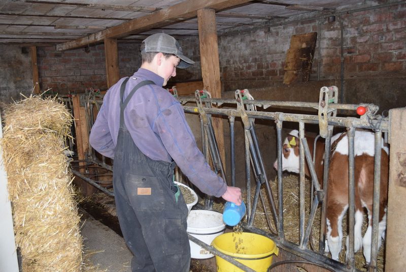 Berner Nico Herren in der Westschweiz: «Die Landwirtschaft ist kein Beruf, sondern eine Berufung»