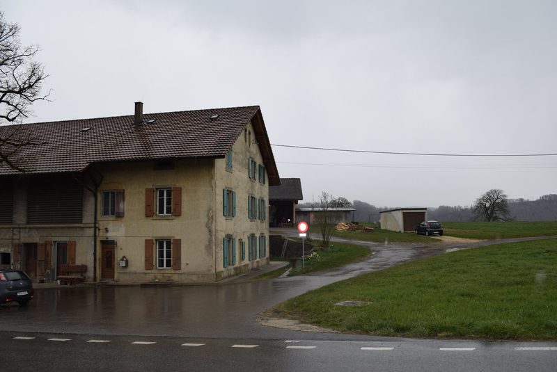 Berner Nico Herren in der Westschweiz: «Die Landwirtschaft ist kein Beruf, sondern eine Berufung»