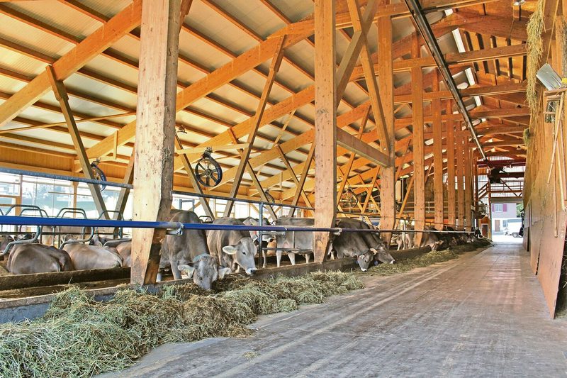 Ein Beitrag gegen Food Waste: Rund vier Tonnen Kakaoschalen werden monatlich in der Tierfütterung weiterverwendet.