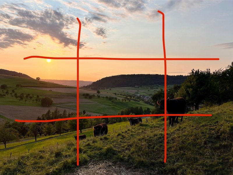Fünf Tipps für «kuhle» Handyfotos