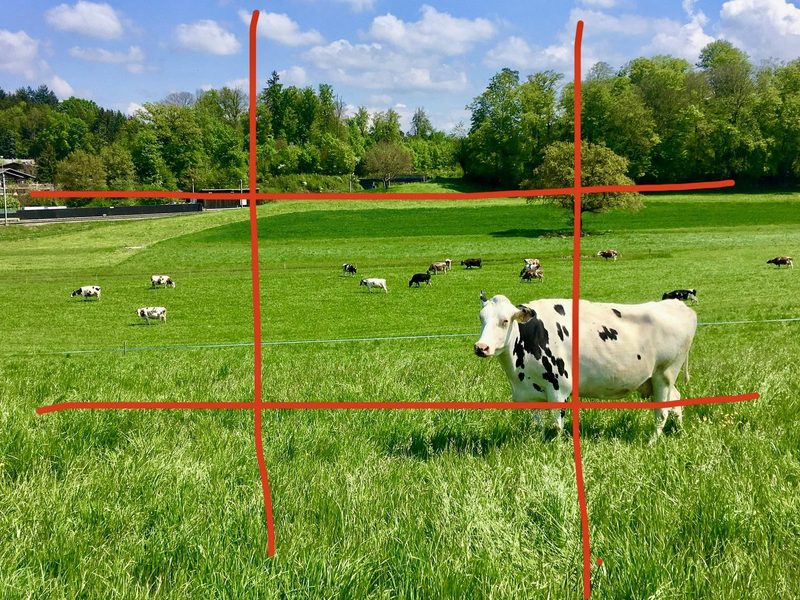 Fünf Tipps für «kuhle» Handyfotos