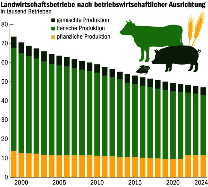 Landwirtschaftliche Strukturerhebung: Mehr Bio-Zuckerrüben, weniger Getreide