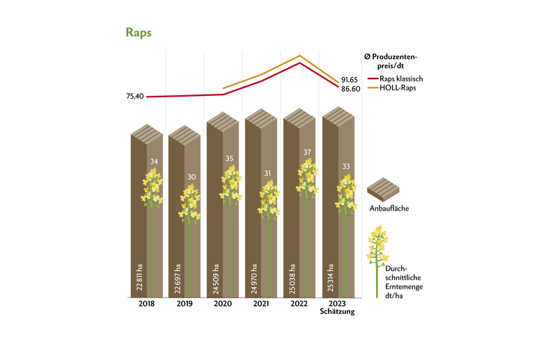 Trotz hoher Nachfrage sanken 2023 die Preise für Raps. Grund dafür sind die sinkenden Preise auf dem Weltmarkt. Quelle: Swissgranum