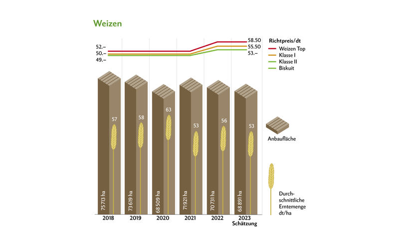 2023 waren die Weizen-Erträge gut, ebenso die Qualität. Erfreulicherweise waren die Mykotoxin-Werte auf dem tiefsten Stand seit Messbeginn. Quelle: Swissgranum