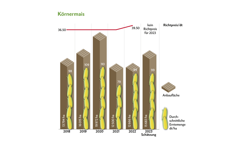 Wie bei den anderen Futtergetreide gab es 2023 beim Mais keinen Richtpreis. Die Erträge waren je nach Region und Boden sehr unterschiedlich. Quelle: Swissgranum
