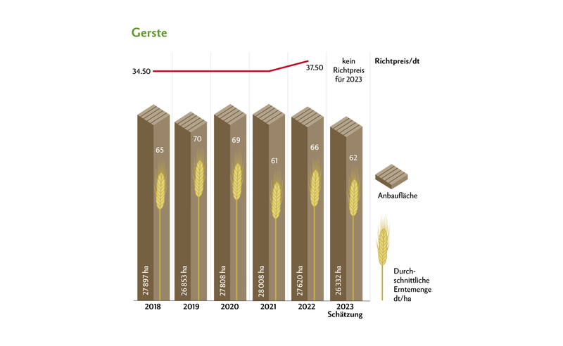 Die fehlenden Richtpreise für Futtergetreide machen den Anbau von Gerste weniger attraktiv. Die Erträge waren 2023 eher tief. Quelle: Swissgranum