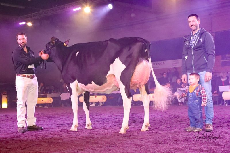 Woodhouse Atomic Mezzomix wird Supreme-Champion an der Junior Expo Aargau