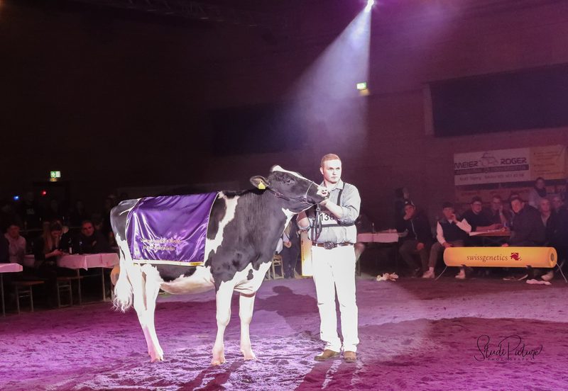 Woodhouse Atomic Mezzomix wird Supreme-Champion an der Junior Expo Aargau