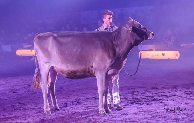 Woodhouse Atomic Mezzomix wird Supreme-Champion an der Junior Expo Aargau